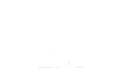 Champions League Stream IPTV France